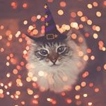 Profile Picture of Isabelle Terry (@terryisa) on Instagram