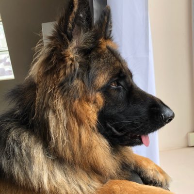 Profile Picture of Paul Harb (@Paul_Harb) on Twitter