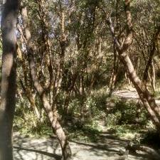 Profile Picture of Jeremy Mathers (@MathersJeremy) on Twitter