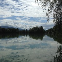 Profile Picture of Alvin Chiu (@alvin-chiu-8) on Quora