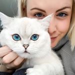 Profile Picture of Alex & Tabby (@tabby_britishshorthair) on Instagram