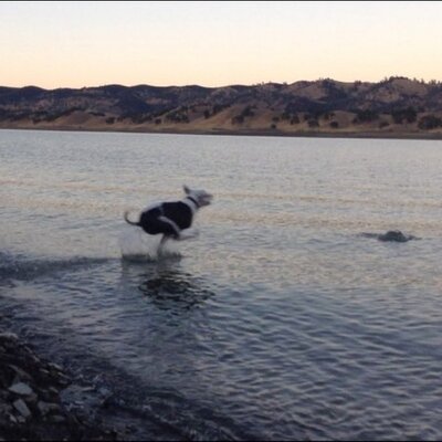 Profile Picture of Seth Kirby (@sethkirby387) on Twitter