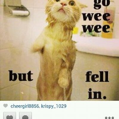 Profile Picture of Jason Gorski (@gorski_jason) on Twitter