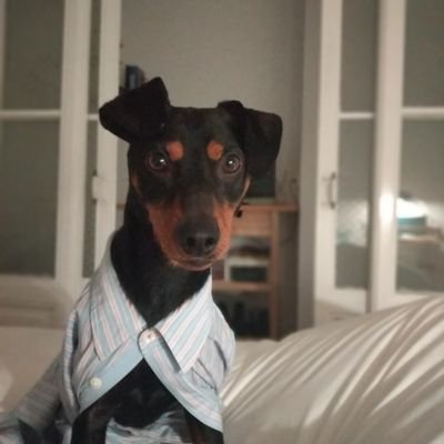 Profile Picture of MikeBrau (@MikeBrau) on Twitter