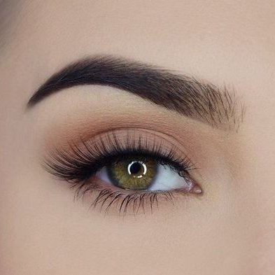 Profile Picture of Alison Tull (@alison_tull) on Twitter