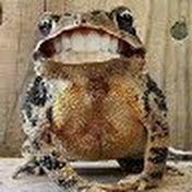 Profile Picture of Gary Farmer (@farmer7800) on Youtube