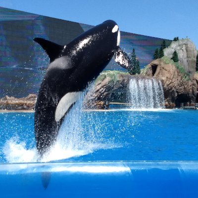 Profile Picture of Gaspar Suárez (@GasparSurez1) on Twitter