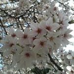 Profile Picture of Jung-min  Ahn (@jungmin1945) on Instagram