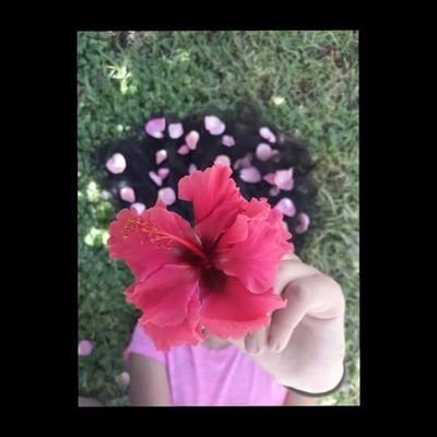 Profile Picture of Avril Hernandez Gaytan (@gaytan_avril) on Twitter