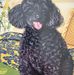 Profile Picture of Jerry Hurd (@jerry.hurd.3939) on Facebook