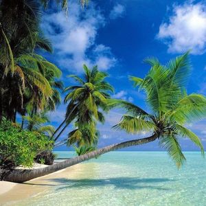 Profile Picture of Farhad Persian (@farhadpersian) on Myspace