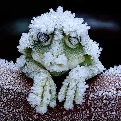 Profile Picture of Peter Brown (@Kilgore11lp) on Twitter