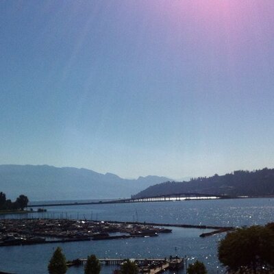 Profile Picture of kim resch (@KimResch) on Twitter