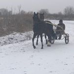 Profile Picture of Luke Hanners (@lhanners_23) on Instagram