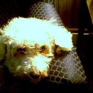 Profile Picture of John Fragale (@158119006) on Myspace