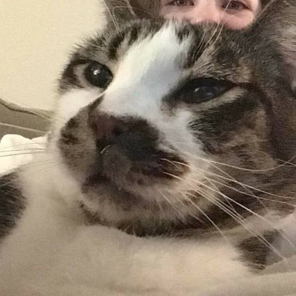 Profile Picture of Pdub Forschizzle (@ire510) on Poshmark