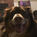 Profile Picture of Aaron Blume (@aaron_blu22) on Instagram