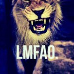 Profile Picture of Shirley Miltenberger (@dronomedge) on Instagram