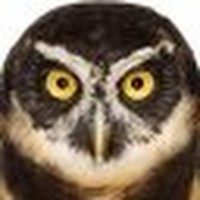 Profile Picture of Allen Hull (@allen-hull-3) on Quora