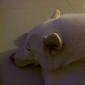 Profile Picture of Noel Winter (@noelwinter4089) on Youtube