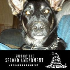 Profile Picture of Jon Hogan (@@jonhogan0) on Tiktok