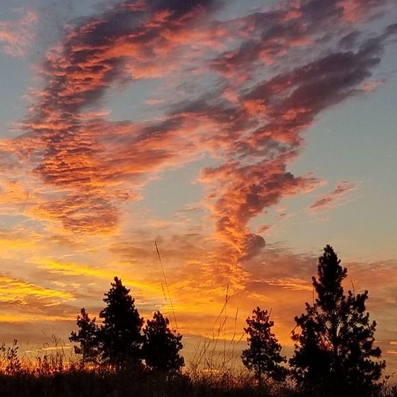 Profile Picture of Alysin Chaines (@alysinchaines) on Poshmark