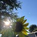 Profile Picture of Pam Seaborn Segrest (@Pam.Segrest.Seaborn) on Facebook
