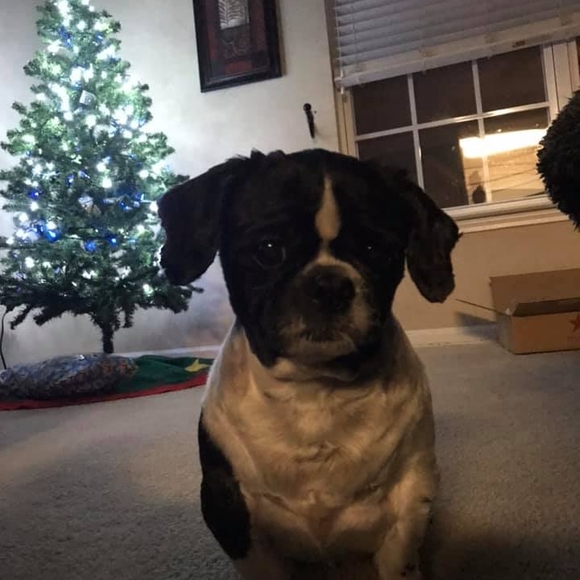 Profile Picture of John Mathis (@181120) on Poshmark