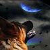 Profile Picture of Nestor Fabian Montero (@nestorfabian.montero.9) on Facebook