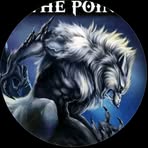 Profile Picture of Alex Bowman (@Alex-Bowman) on Facebook