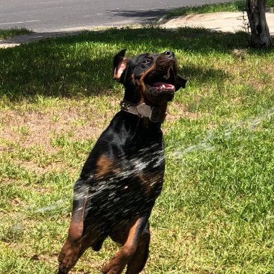 Profile Picture of Travis Harmon (@travish48101797) on Twitter