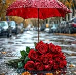 Profile Picture of Chàm Sô (@cham.so.747095) on Facebook