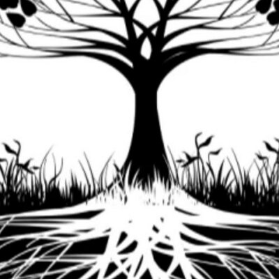 Profile Picture of Ricky Nguyen (@rickynguyen775) on Twitter