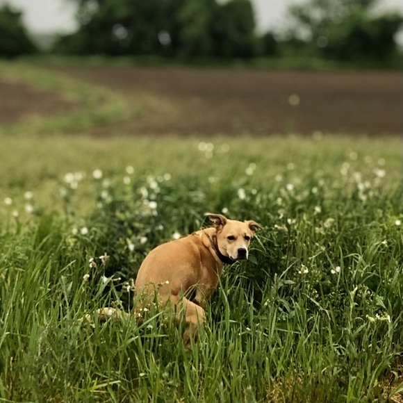 Profile Picture of Jonathan Stein (@jstein814) on Poshmark