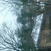 Profile Picture of Benjamin Petersen (@benjaminpetersen282) on Youtube