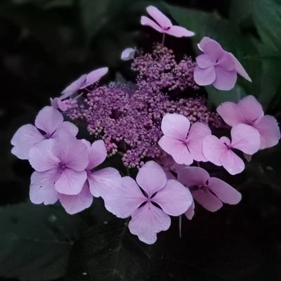 Profile Picture of Jamie Knotts (@JamieKnotts5) on Twitter