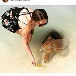 Profile Picture of Ashleigh Hahn (@ashleigh_hahn) on Instagram