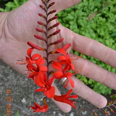 Profile Picture of Michael (@MichaelGebauer2) on Twitter