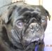 Profile Picture of Sherry Plummer (@sherry.plummer.3) on Facebook