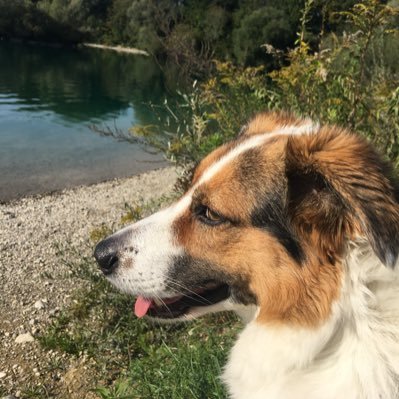 Profile Picture of Klaus Jaeger (@JaegerKlaus1) on Twitter