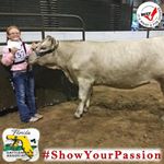 Profile Picture of Tim Plunkett (@rafterp87) on Instagram