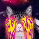 Profile Picture of Dream Paradise - A Origem (@dreamparadiseoficial) on Instagram