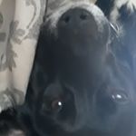 Profile Picture of Nathan Fischer (@nathan.fischer.902) on Instagram