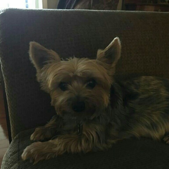Profile Picture of Sheila Omland (@somland) on Poshmark