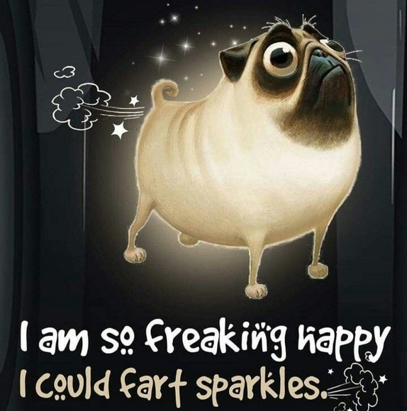 Profile Picture of Michelle Theriot (@mwtheriot1) on Poshmark