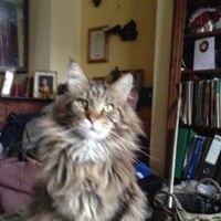 Profile Picture of Bryan Gunning (@bryan-gunning) on Quora