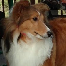 Profile Picture of Heidi Hope Enoch (@enoch_heidi) on Twitter