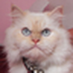 Profile Picture of jose antonio paredes tello (@jparedestello@yahho.com) on Flickr