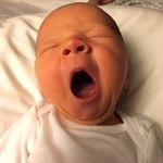 Profile Picture of Miles Thomas McNeal (@mtmcneal) on Instagram