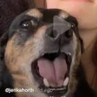 Profile Picture of   Dylan Stein(@patato..squad)... (@patato..squad) on Tiktok